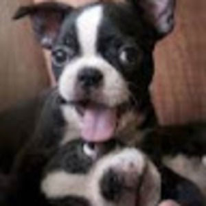 Meet your Posher, Margy